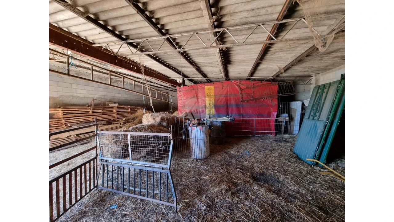 Quinta para Venda em Castelo Branco Foto 35