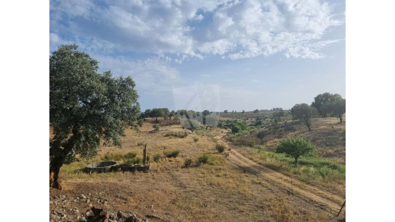 Quinta para Venda em Castelo Branco Foto 18