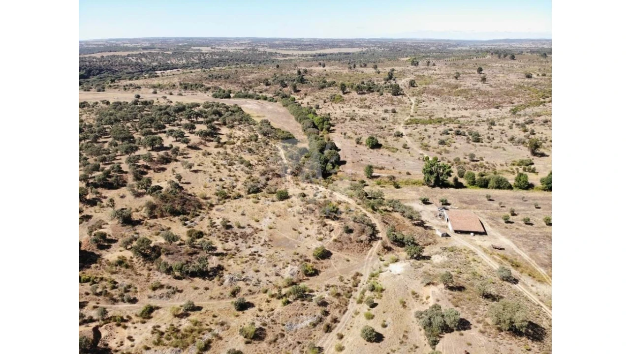 Quinta para Venda em Castelo Branco Foto 55