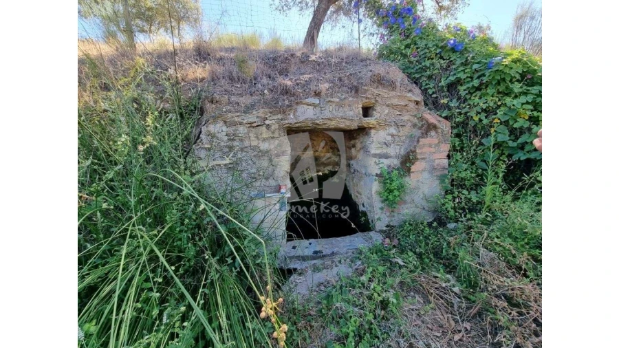Quinta para Venda em Castelo Branco Foto 29