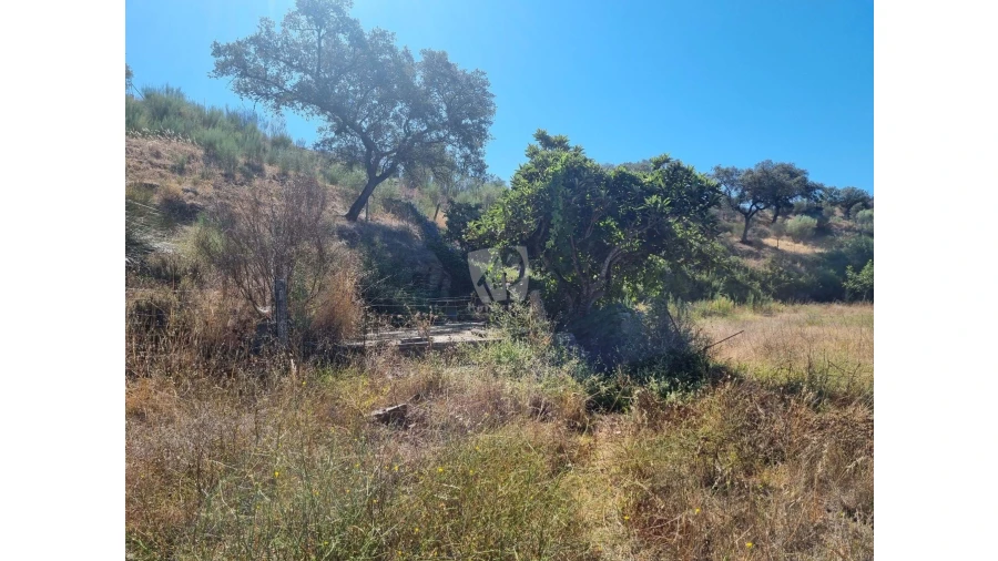 Quinta para Venda em Castelo Branco Foto 32