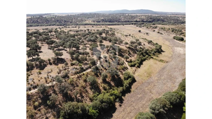 Quinta para Venda em Castelo Branco Foto 53