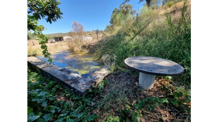 Quinta para Venda em Castelo Branco Foto 30