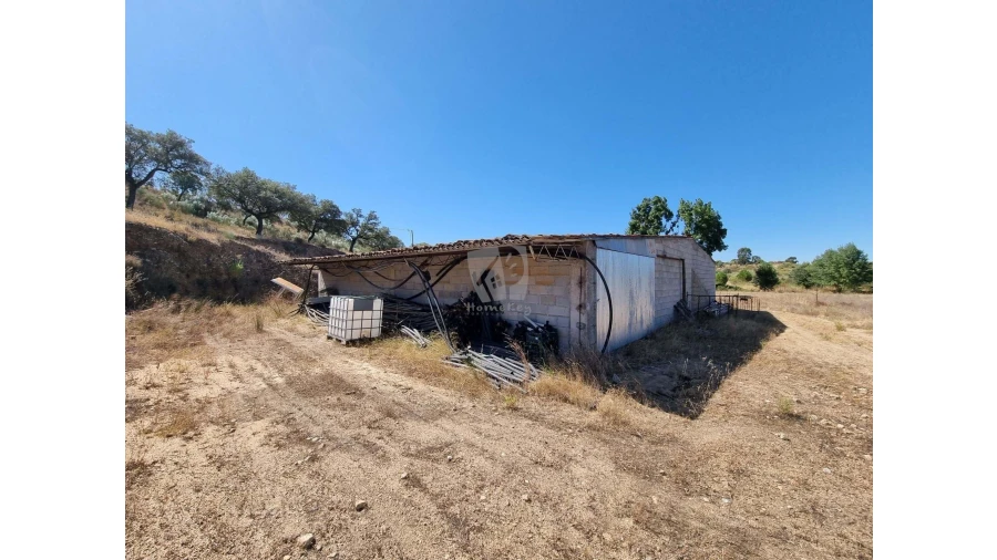 Quinta para Venda em Castelo Branco Foto 41