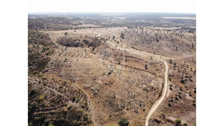 Quinta para Venda em Castelo Branco Foto 2