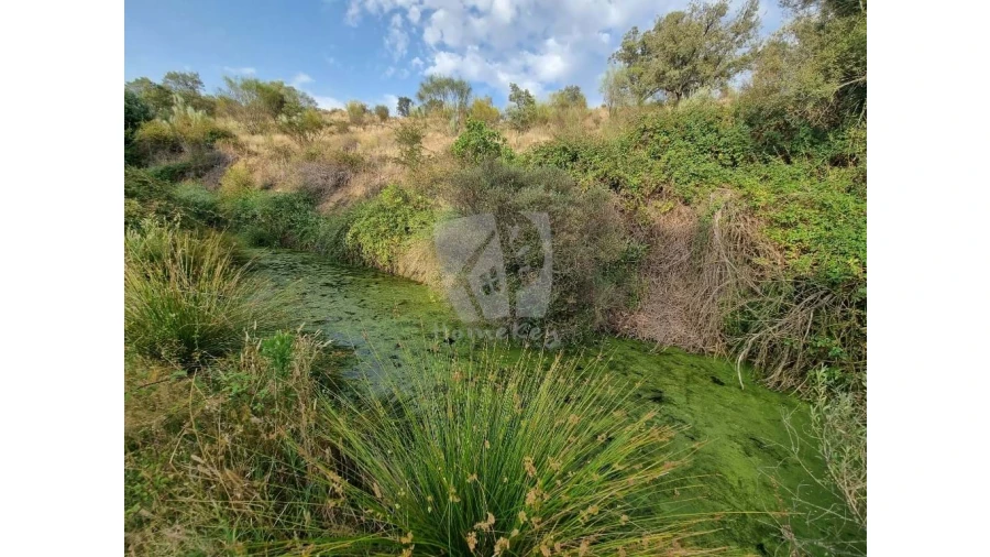 Quinta para Venda em Castelo Branco Foto 24