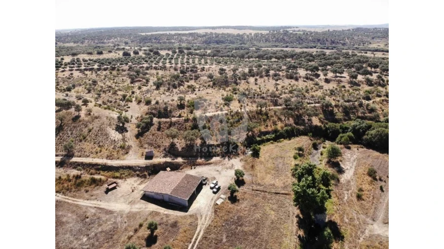 Quinta para Venda em Castelo Branco Foto 3