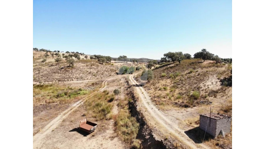 Quinta para Venda em Castelo Branco Foto 51
