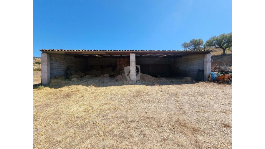 Quinta para Venda em Castelo Branco Foto 40