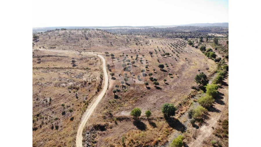 Quinta para Venda em Castelo Branco Foto 44