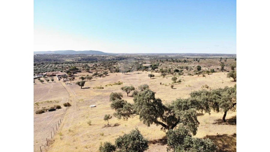 Quinta para Venda em Castelo Branco Foto 46