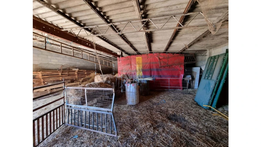 Quinta para Venda em Castelo Branco Foto 35
