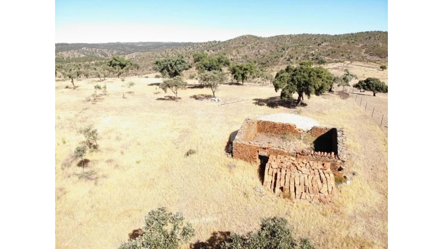 Quinta para Venda em Castelo Branco Foto 48