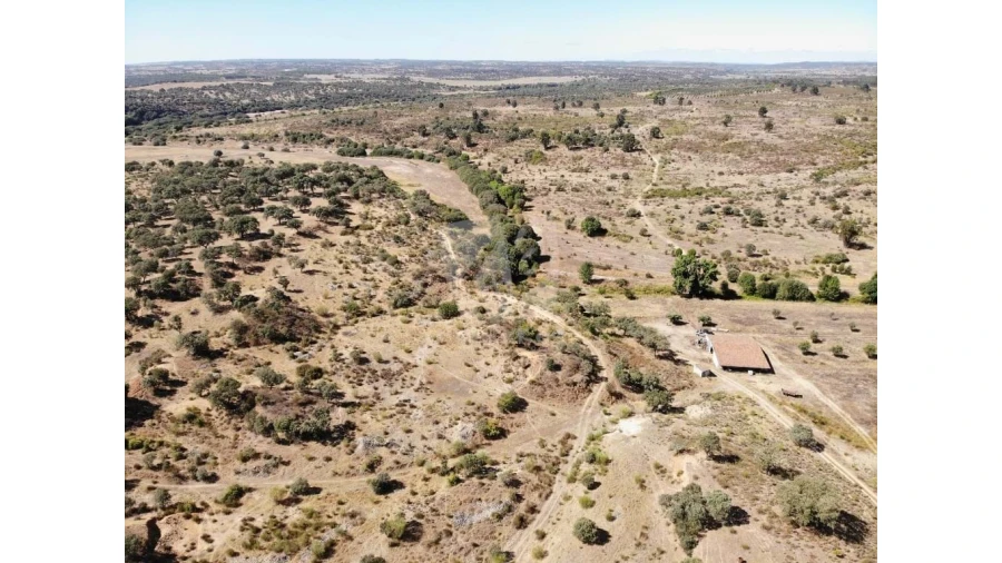 Quinta para Venda em Castelo Branco Foto 55