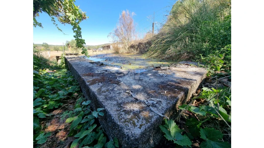 Quinta para Venda em Castelo Branco Foto 31