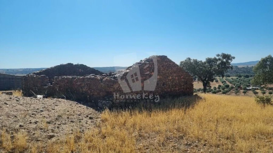 Quinta para Venda em Castelo Branco Foto 27