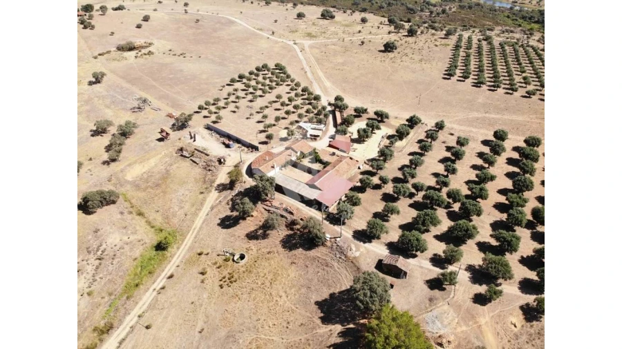 Quinta para Venda em Castelo Branco Foto 1