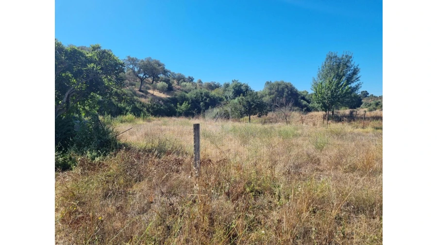 Quinta para Venda em Castelo Branco Foto 33