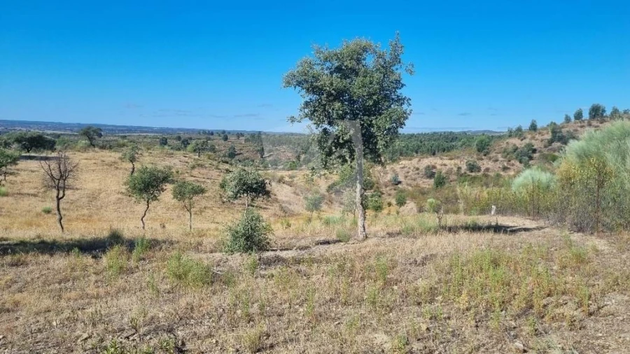 Quinta para Venda em Castelo Branco Foto 25