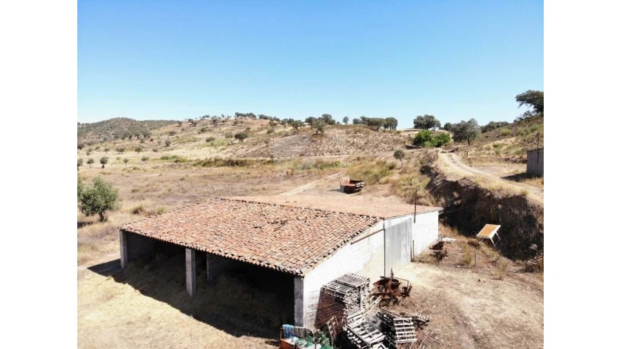 Quinta para Venda em Castelo Branco Foto 4