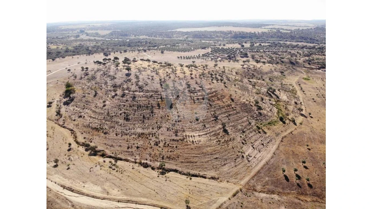 Quinta para Venda em Castelo Branco Foto 45