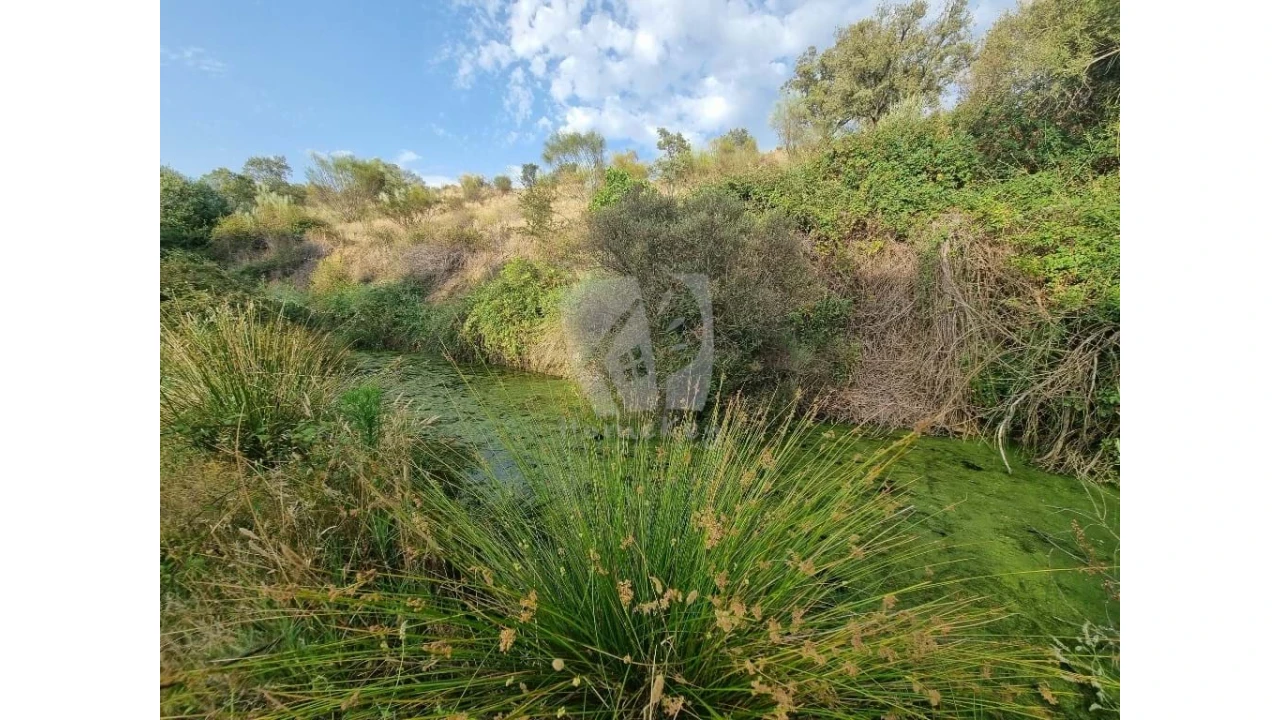 Quinta para Venda em Castelo Branco Foto 23