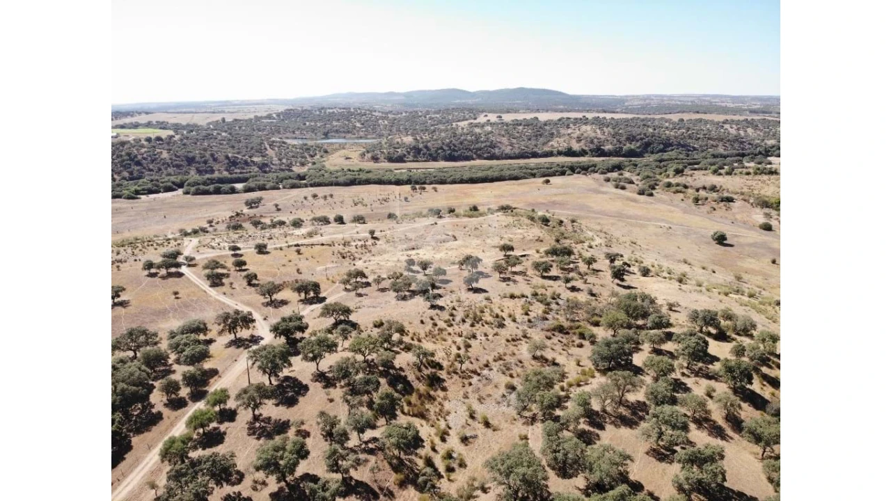 Quinta para Venda em Castelo Branco Foto 54