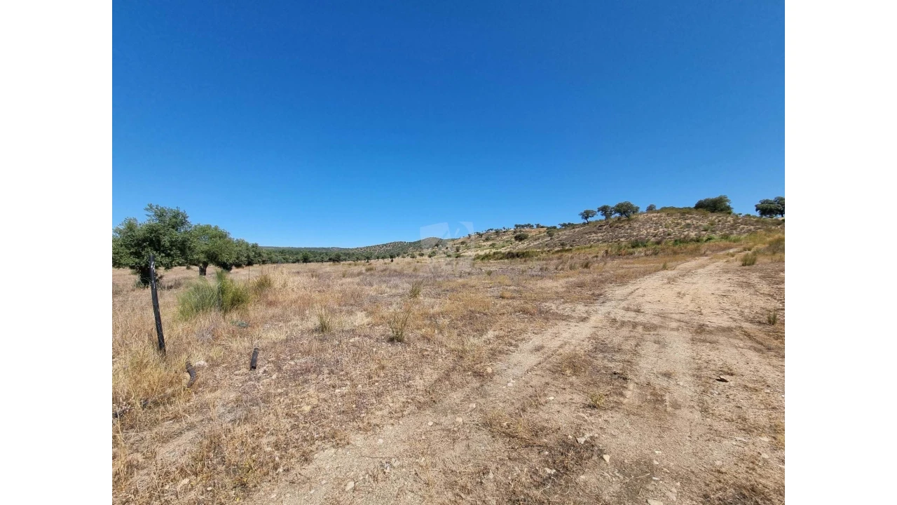 Quinta para Venda em Castelo Branco Foto 43