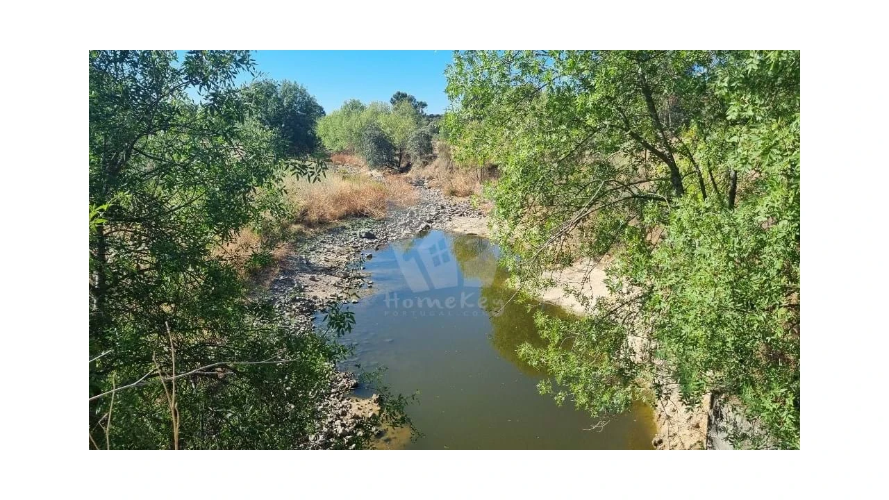 Quinta para Venda em Castelo Branco Foto 26