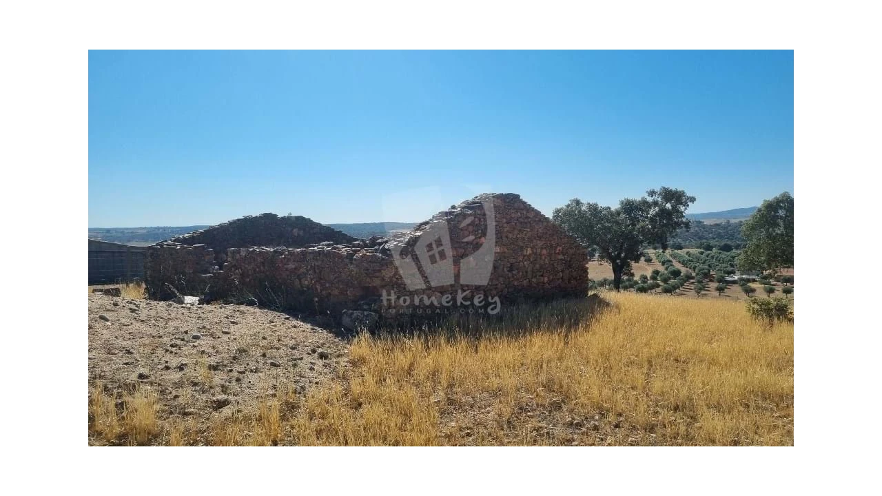 Quinta para Venda em Castelo Branco Foto 27