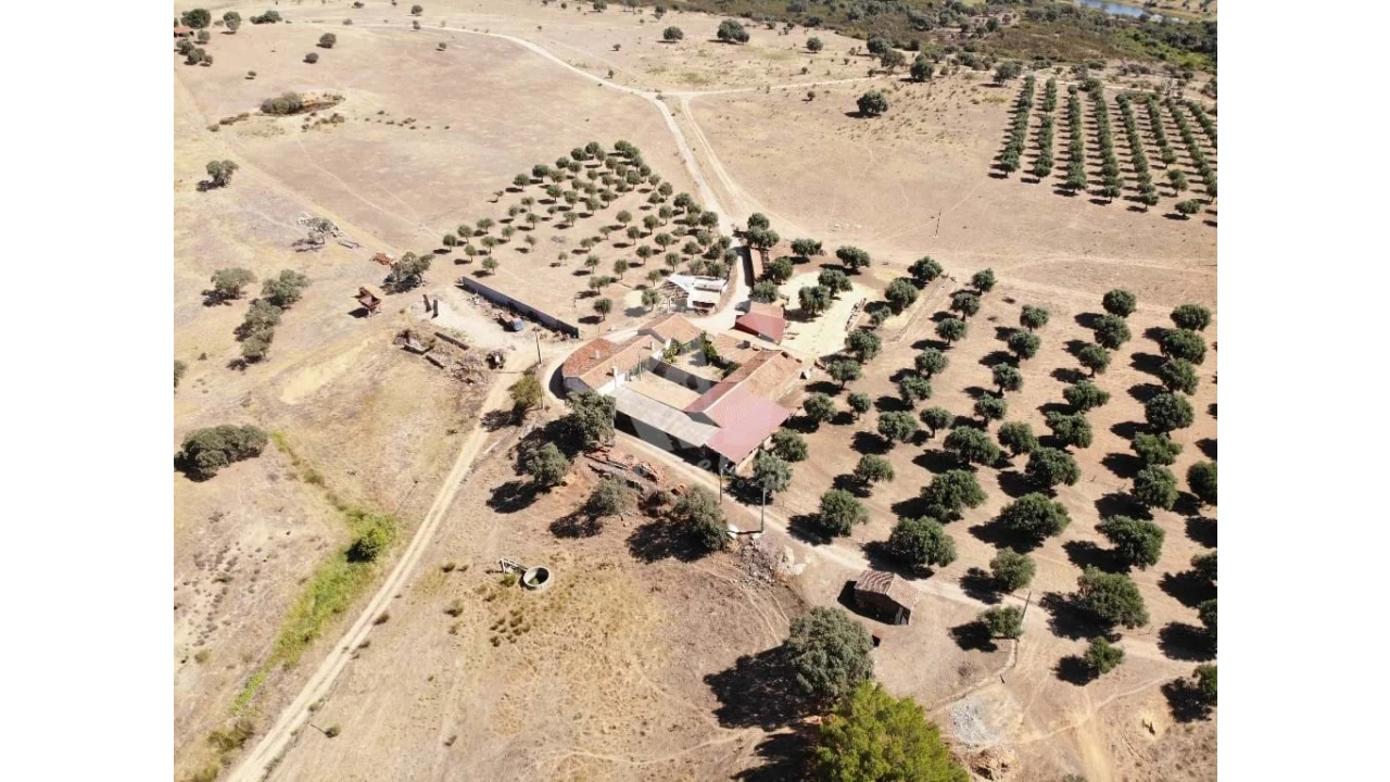 Quinta para Venda em Castelo Branco Foto 1