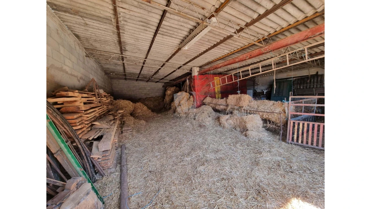 Quinta para Venda em Castelo Branco Foto 38