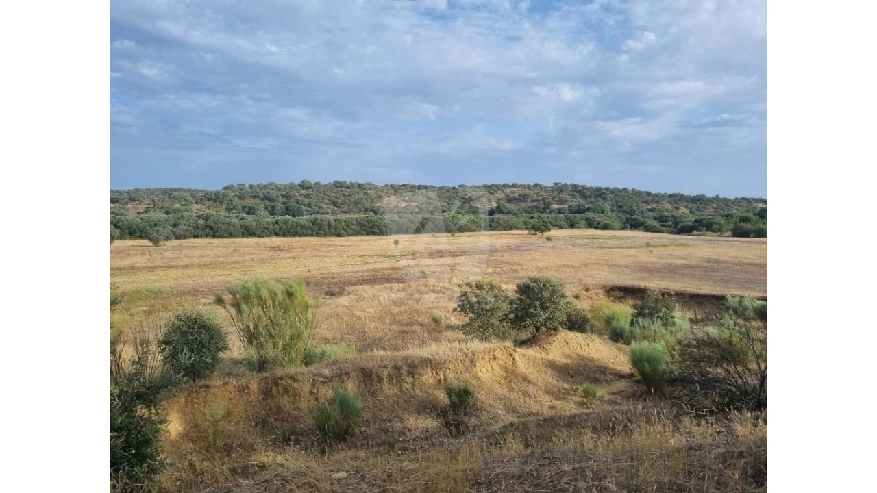 Quinta para Venda em Castelo Branco Foto 20