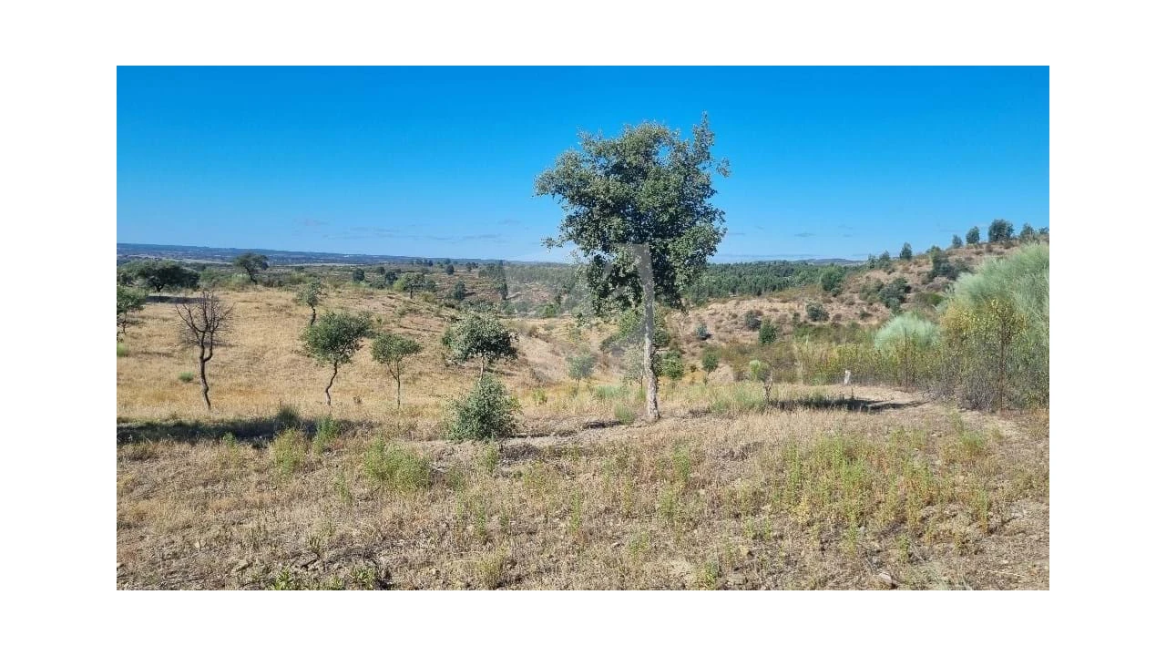 Quinta para Venda em Castelo Branco Foto 25