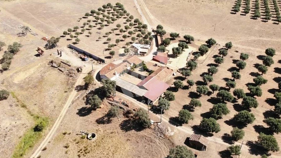 Quinta para Venda em Castelo Branco