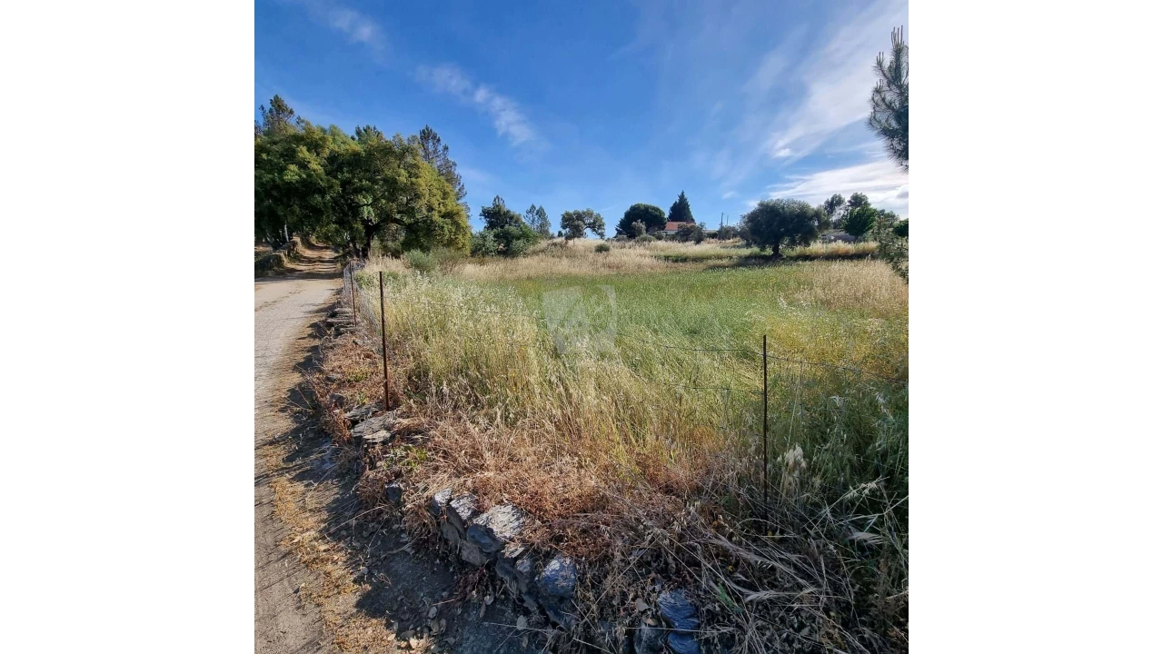 Terreno Agricola ou Rústico para Venda em Benquerenças Foto 20