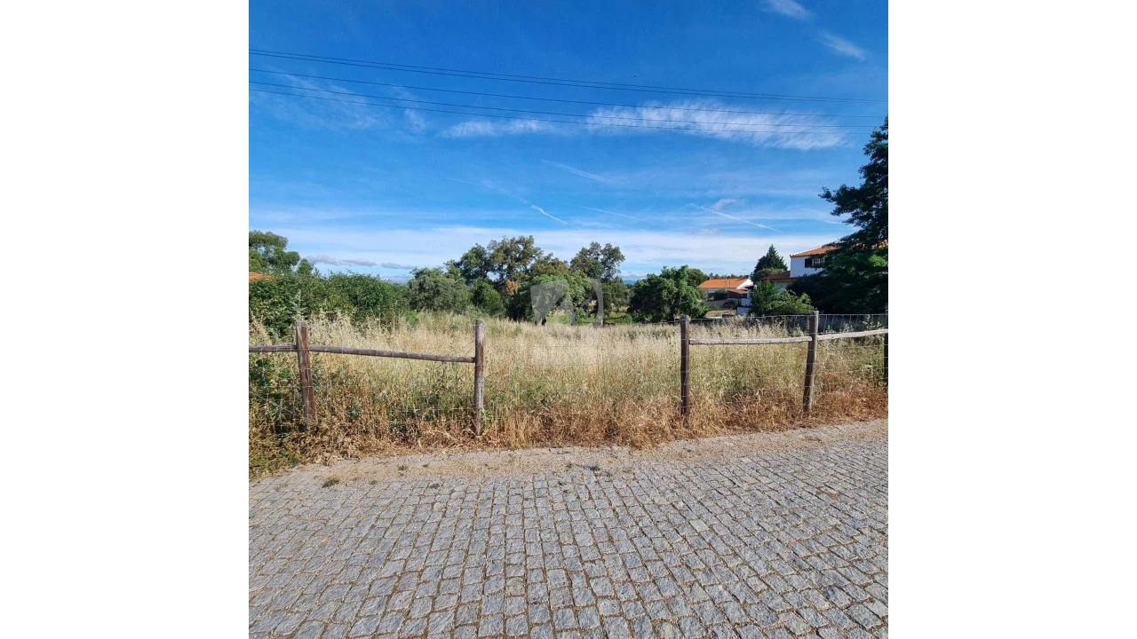 Terreno Agricola ou Rústico para Venda em Benquerenças Foto 11