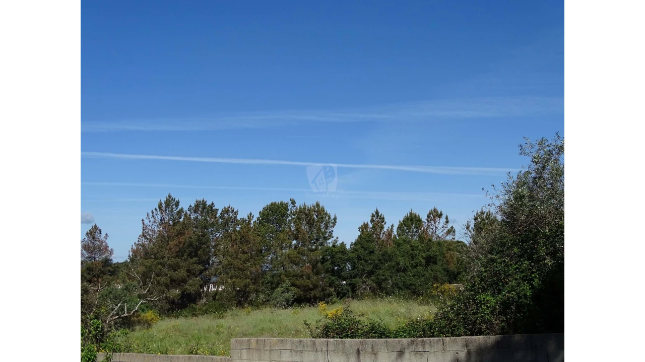 Terreno Agricola ou Rústico para Venda em Benquerenças Foto 30
