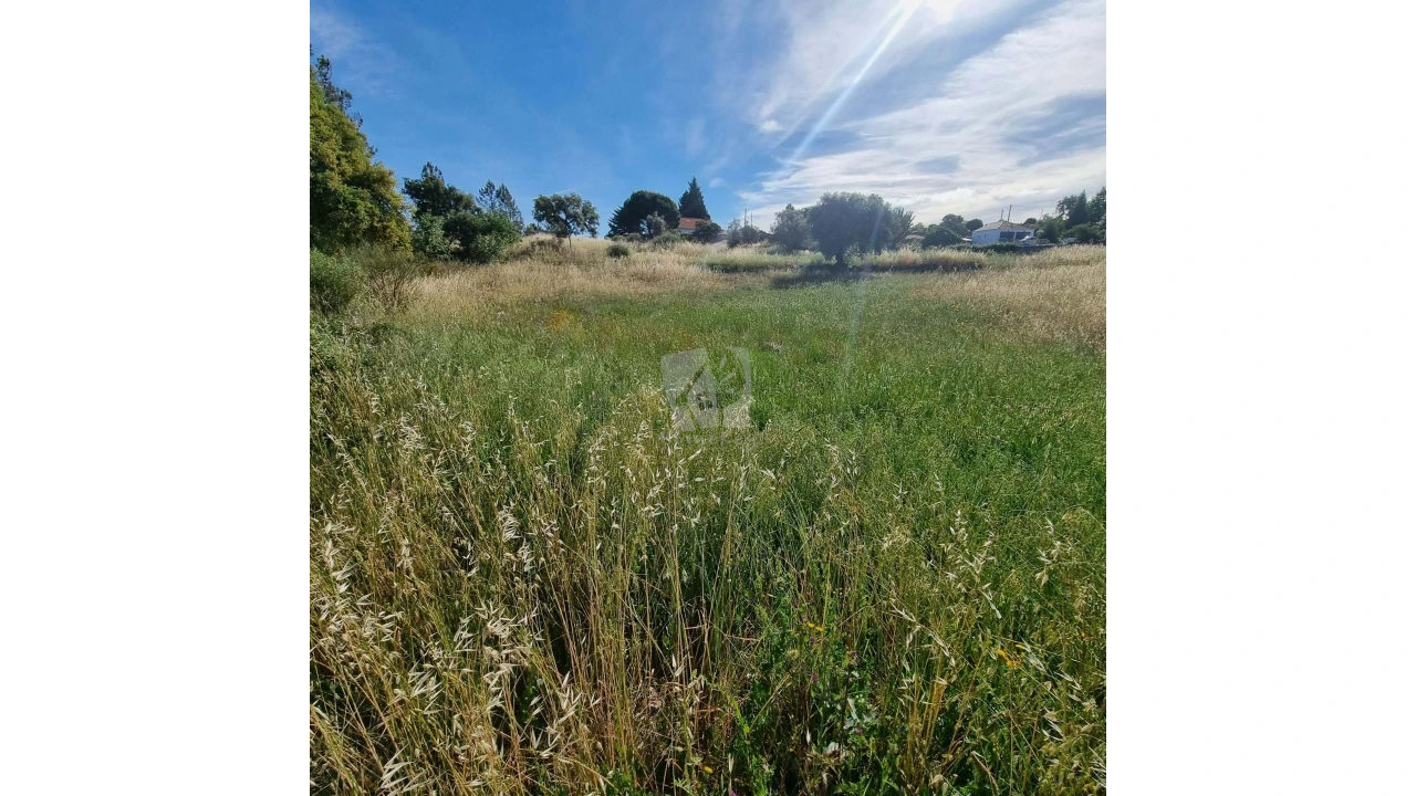 Terreno Agricola ou Rústico para Venda em Benquerenças Foto 4