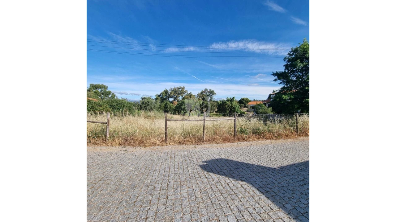 Terreno Agricola ou Rústico para Venda em Benquerenças Foto 10