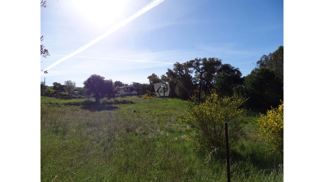 Terreno Agricola ou Rústico para Venda em Benquerenças Foto 25