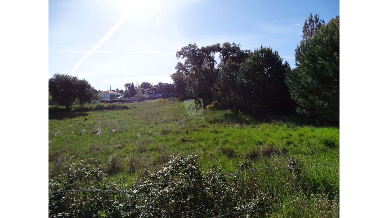Terreno Agricola ou Rústico para Venda em Benquerenças Foto 24