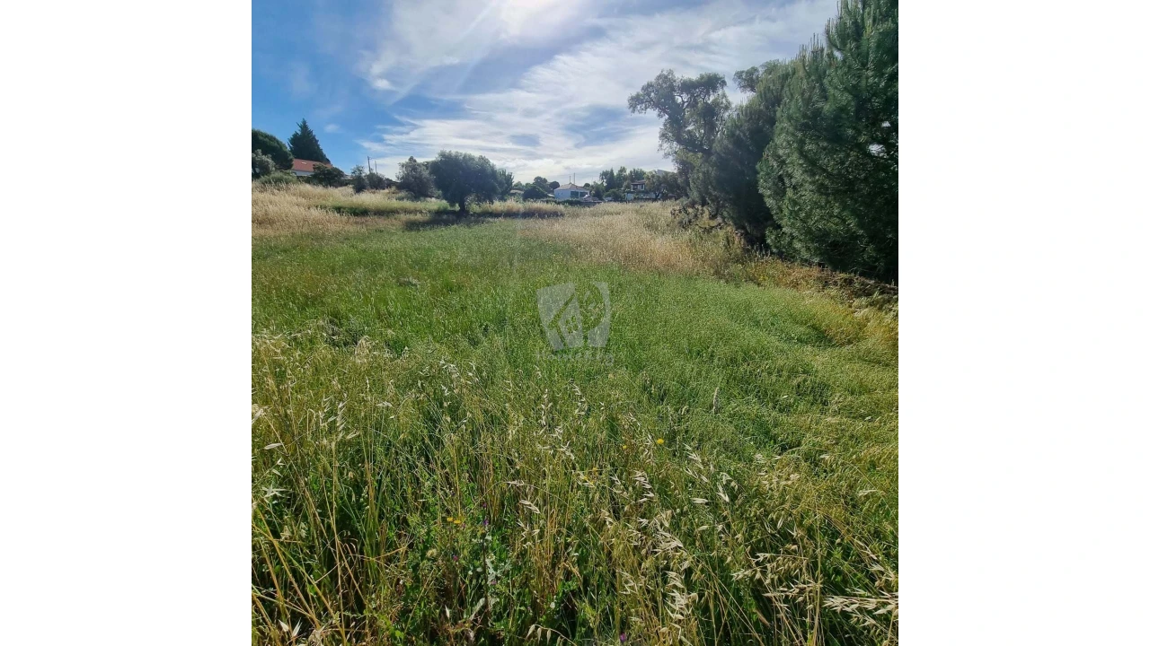 Terreno Agricola ou Rústico para Venda em Benquerenças Foto 1