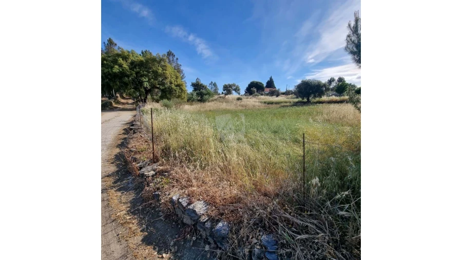 Terreno Agricola ou Rústico para Venda em Benquerenças Foto 20