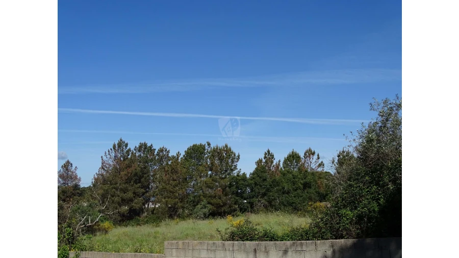 Terreno Agricola ou Rústico para Venda em Benquerenças Foto 30