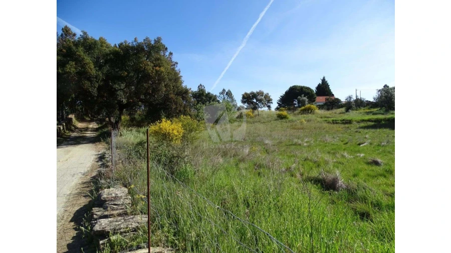 Terreno Agricola ou Rústico para Venda em Benquerenças Foto 23