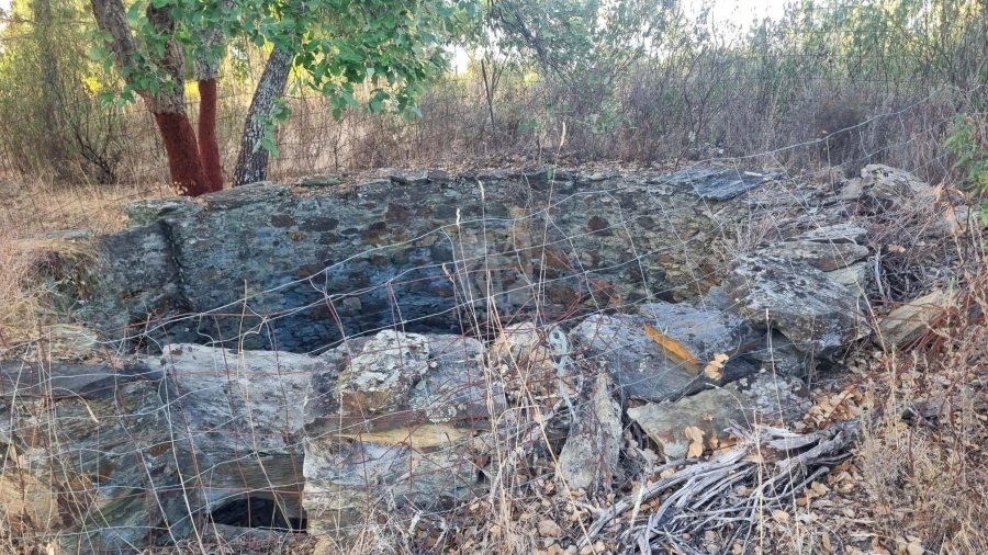 Terreno Agricola ou Rústico para Venda em Benquerenças Foto 14