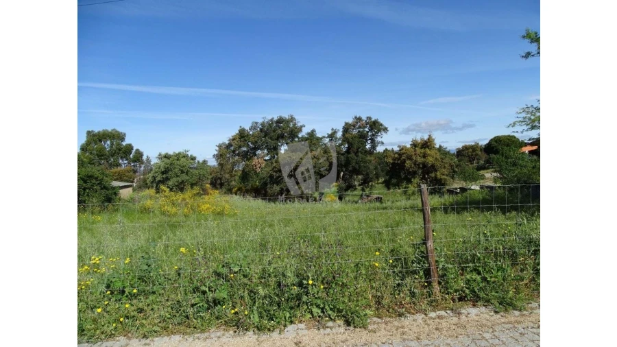 Terreno Agricola ou Rústico para Venda em Benquerenças Foto 2