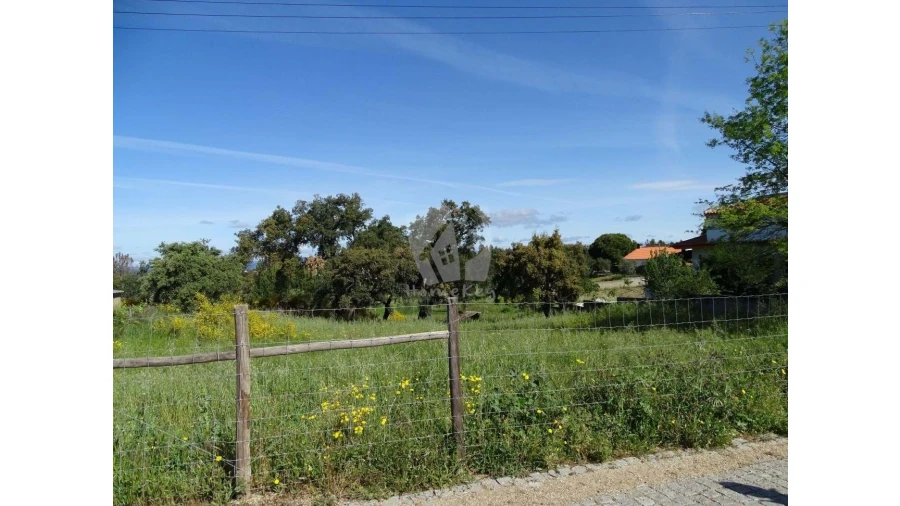 Terreno Agricola ou Rústico para Venda em Benquerenças Foto 3