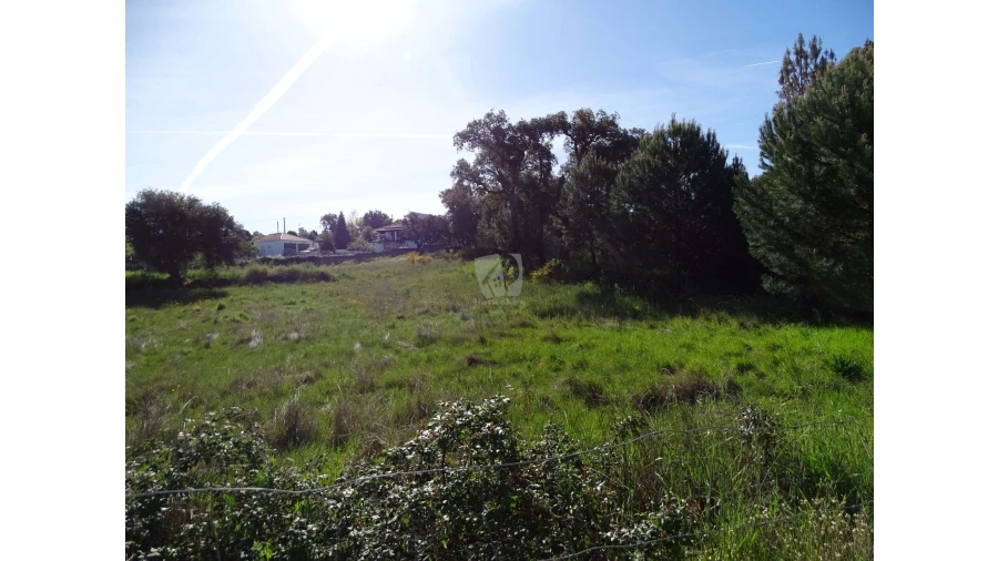 Terreno Agricola ou Rústico para Venda em Benquerenças Foto 24